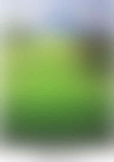Lukisan Sawah
