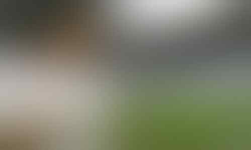 Kisah Menarik Pemain Sepakbola Muslim Dunia