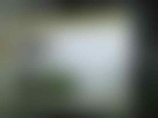 JUAL MURAH & CEPAT BB 9850 MONACO