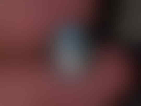 Terjual Operculum Shell Plus Memo Dan Pirus Persi Biru Panci