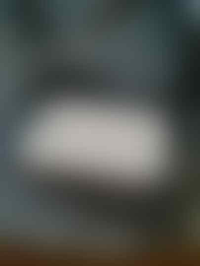 BB Gemini 3G white 2nd