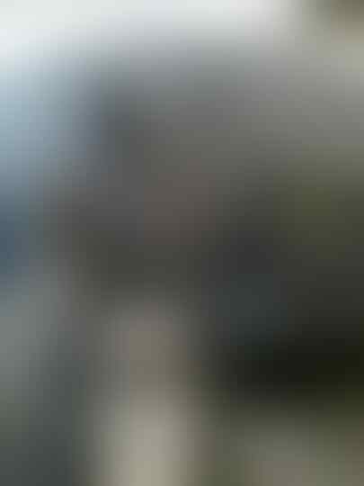 BB Gemini 3G white 2nd