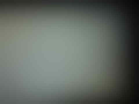 REPLIKA SAMSUNG S4