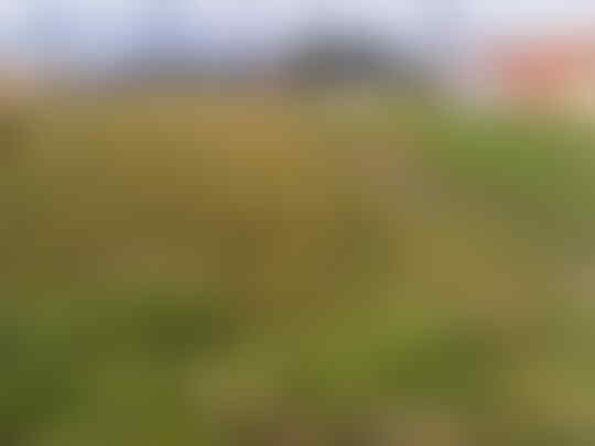 WTS Jual Tanah di daerah batujajar Bandung Barat