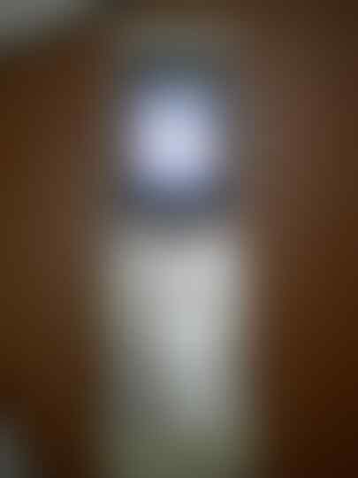 Benq siemens EF81 full stainless stell