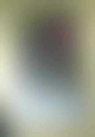 Case Lenovo S880