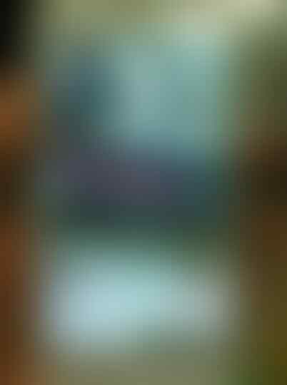 Samsung S4kw