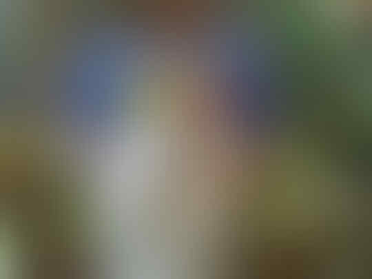 jual persia jantan 9 bulan plus kandang