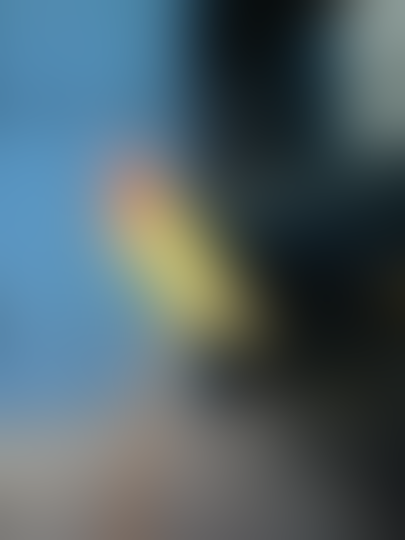 Terjual Jual Burung Lovebird Paskun Kaskus