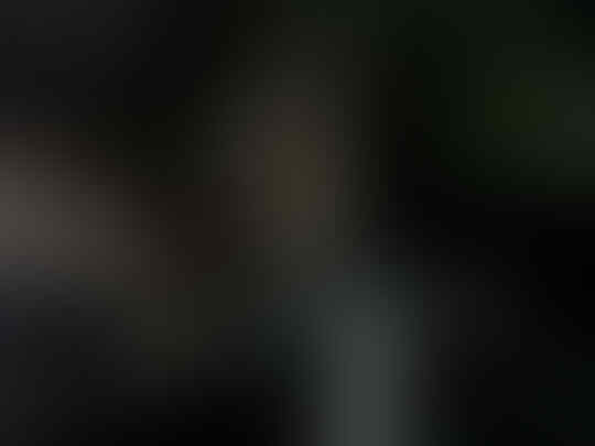 Terjual Jual Buffy Fish Owl Burung Hantu Si Limbad Jinak