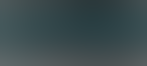 INTERNET MURAH/SSH (JP,US,LOKAL)+TOOL (XL,SMPATI,INDOSAT,SMART) Support Drop Bear