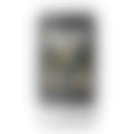 Mengenal Android Lebih Dekat Beserta Versinya