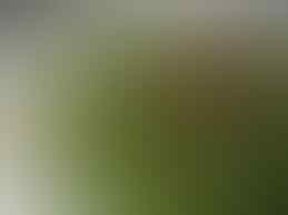 Buat para pencinta kangkung,,,Please read this!!!