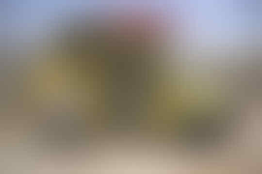 12 kendaraan terbaik untuk bertahan dari serangan zombie