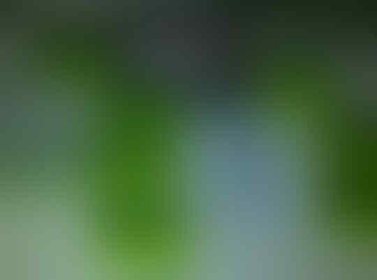 SEHAT dan LANGSING tanpa Efek Samping