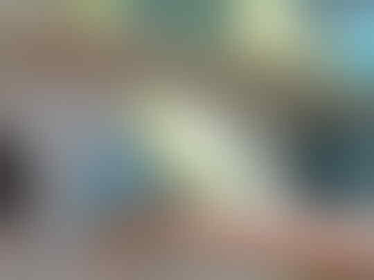 Jual Burung Parkit