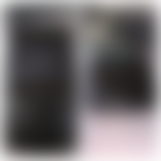 blackberry gemini 8530 cdma