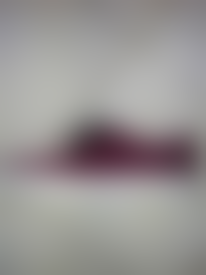 nike sb zoom stefan janoski red oxide (333824-660)