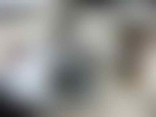 Terjual Biji Fumayin Eropa Voeder Kaskus