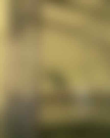 Terjual Dijual Mumer Burung Cucak Ijo Banyuwangi Kaskus