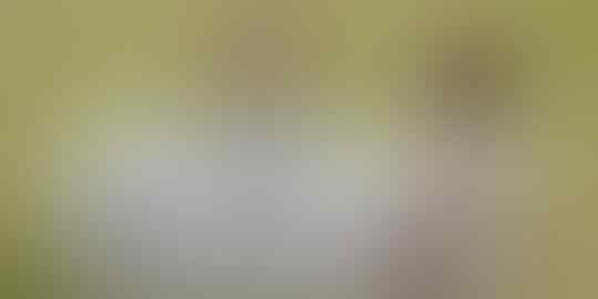 Anak Sering Ikut Kontes, Ini Untung Ruginya Gan