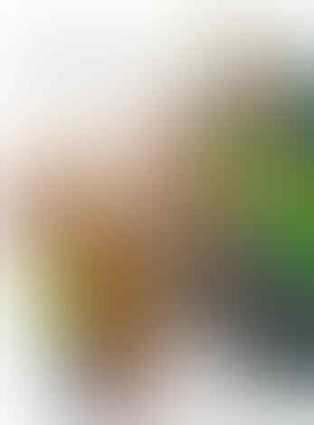 Rahasia Wanita Yang Agan Harus Tau