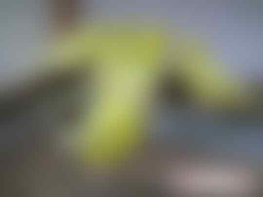 Terjual Burung Parkit Sepasang Kaskus