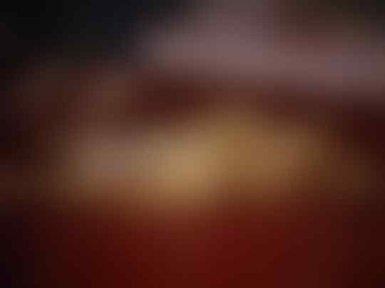 Terjual Jual Anjing Mix Chihuahua Dachshund Tekel Kaskus