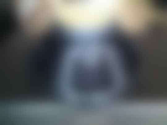 SPEAKER PRO- CORONG ALUMUNIUM ORI