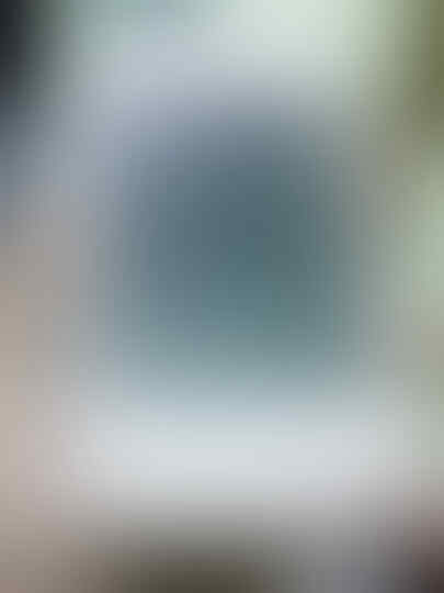 LG Optimus L1 II E410 - ANDROID Jelly Bean 700rb-an