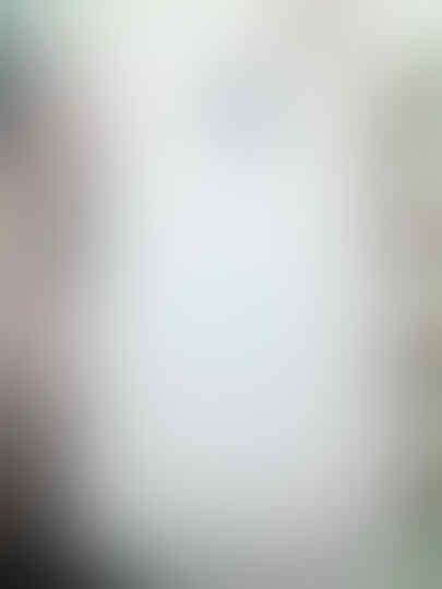 LG Optimus L1 II E410 - ANDROID Jelly Bean 700rb-an