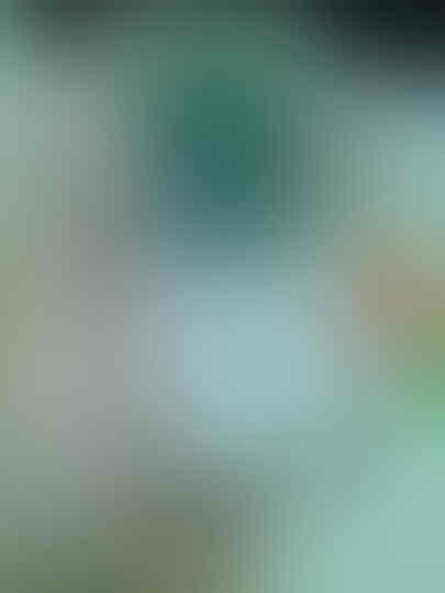 Sony Ericsson Elm j10i2