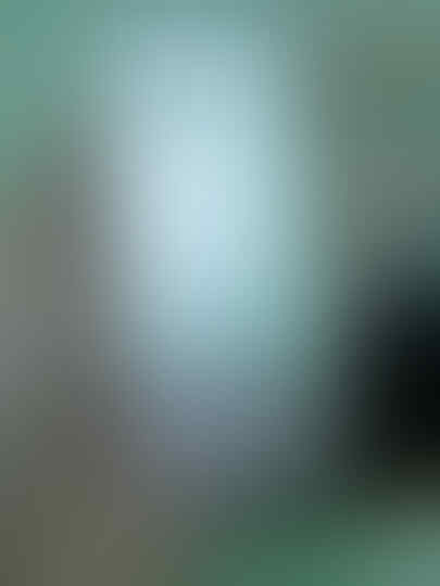 Sony Ericsson Elm j10i2