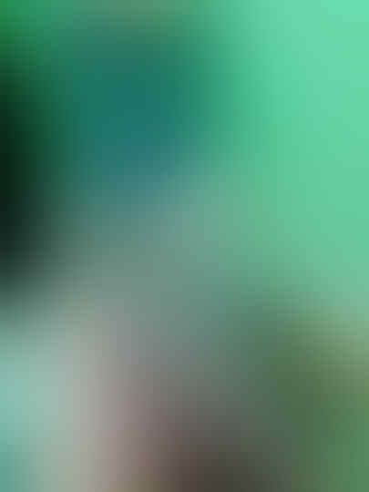 Sony Ericsson Elm j10i2