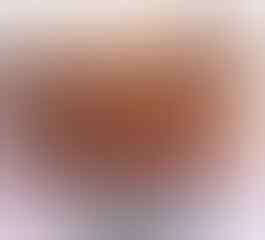 Jual Bibit/Biji Jabon Putih