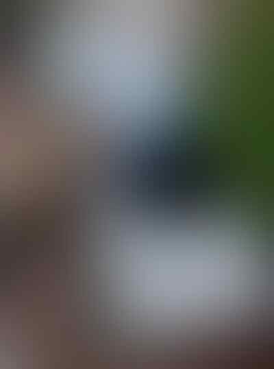 Google Galaxy NEXUS i9250 16GB