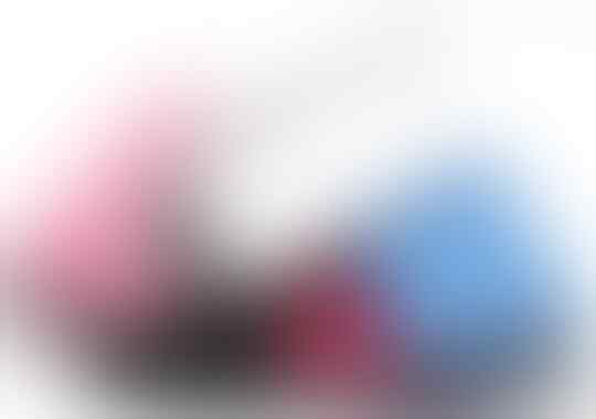 flipcase POLYTRON W7450