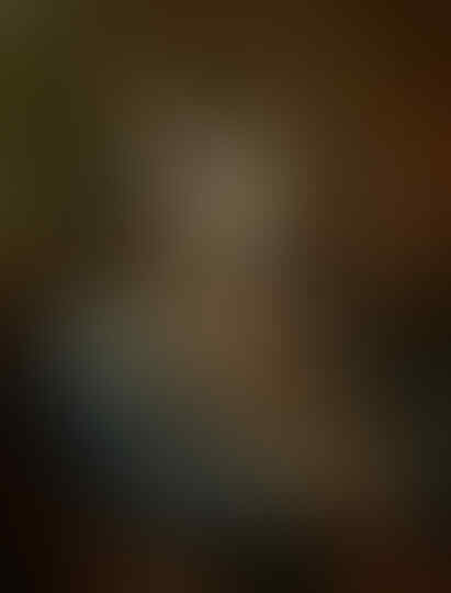 Foto Foto Kucing bagai Seorang Raja