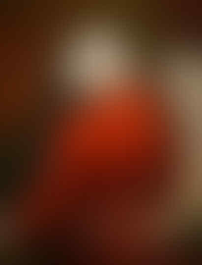 Foto Foto Kucing bagai Seorang Raja