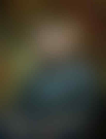 Foto Foto Kucing bagai Seorang Raja