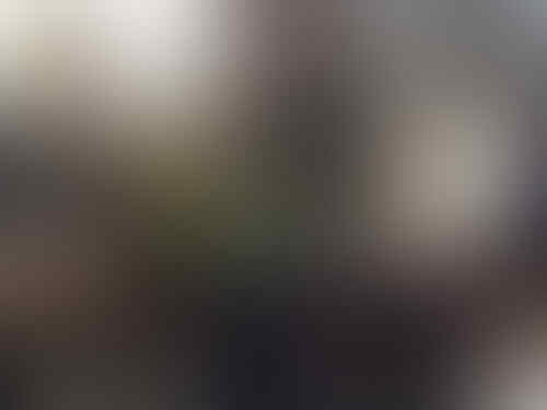 Kelakuan Unyu Cewek Jepang di Dalam Kereta Yang Membuat Pria Terkesima