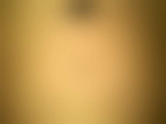 IPad 2 (64Gb 3G+ Wifi)