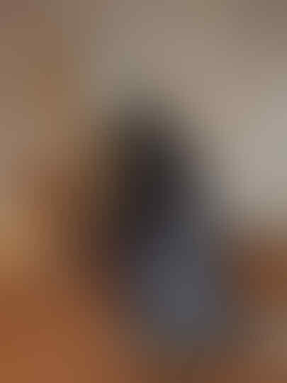 Foto Foto Kucing bagai Seorang Raja