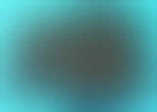 Jual Bibit Sawit