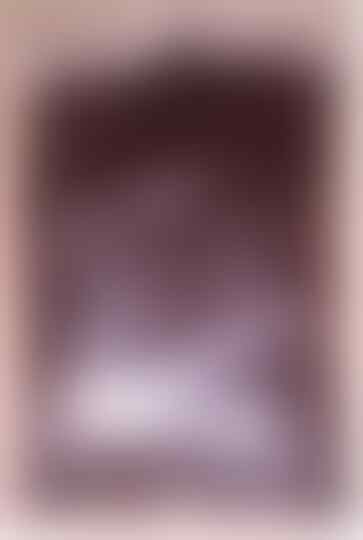Jual Bibit Karet Klon PB260