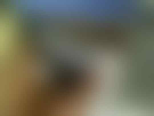 Canon PowerShot - S90