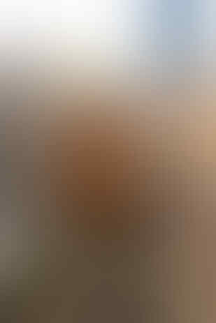 Inilah 10 Bangunan Paling “Hijau” di Bumi