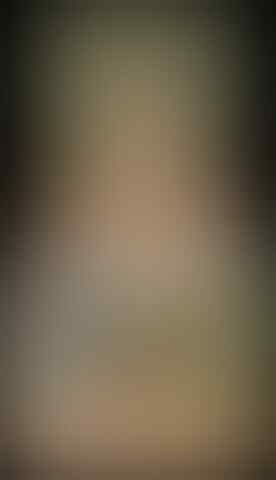 Jual anjing pitbull , golden , shitzu, husky, minipom , di Balikpapan Murmer..