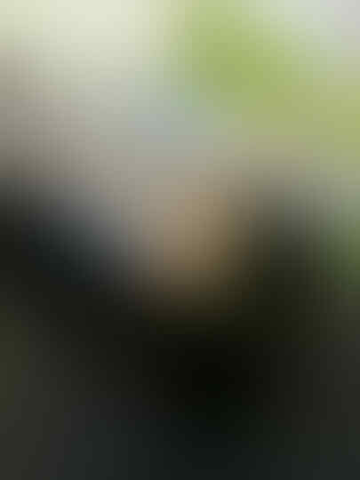 LG L7 P705 SEMARANG