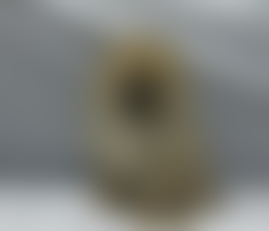 Terjual Jual 3 Ekor Anakan Anjing Supermini Pomeranian Istimewa